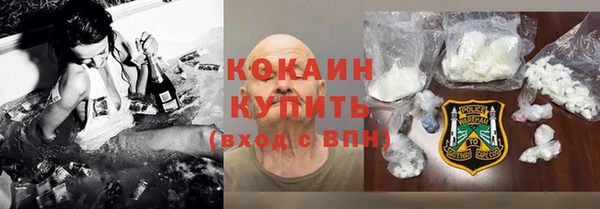 ешки Новодвинск