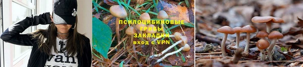 прущая мука Наволоки