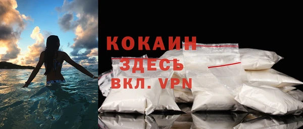 МДПВ Нея