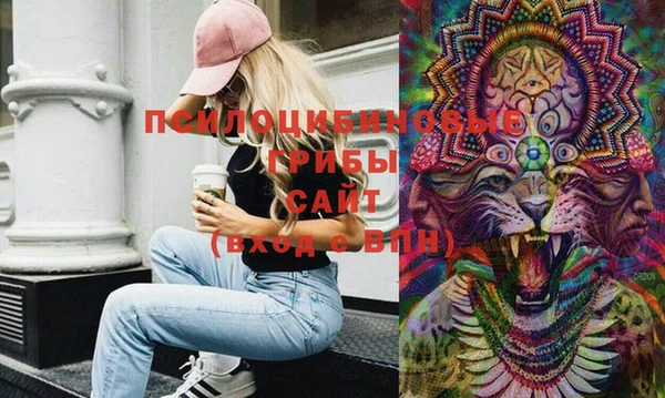 ешки Новодвинск
