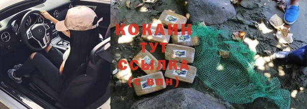 ешки Новодвинск