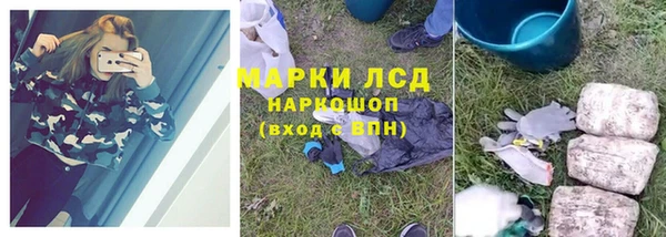 ешки Новодвинск