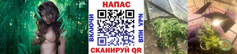 МАРИХУАНА AK-47  купить закладку  Октябрьск 